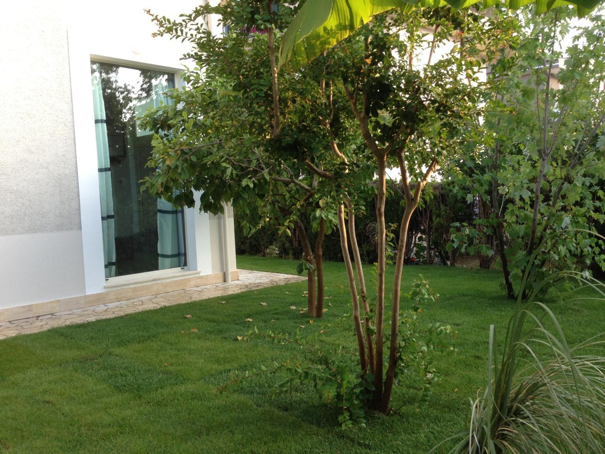Apartamento Loft 3, A 150 M Dal Mare, Pineto Centro Exterior foto